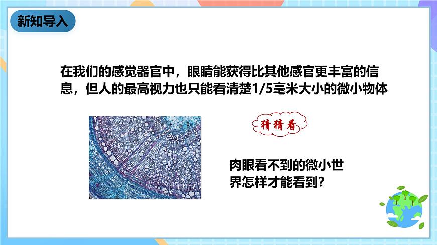 科教版科學(xué)六下1.1《放大鏡》課件第2頁
