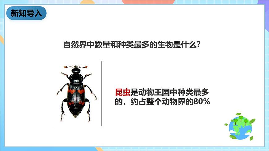 科教版科學(xué)六下1.2《放大鏡下的昆蟲世界》課件第2頁(yè)