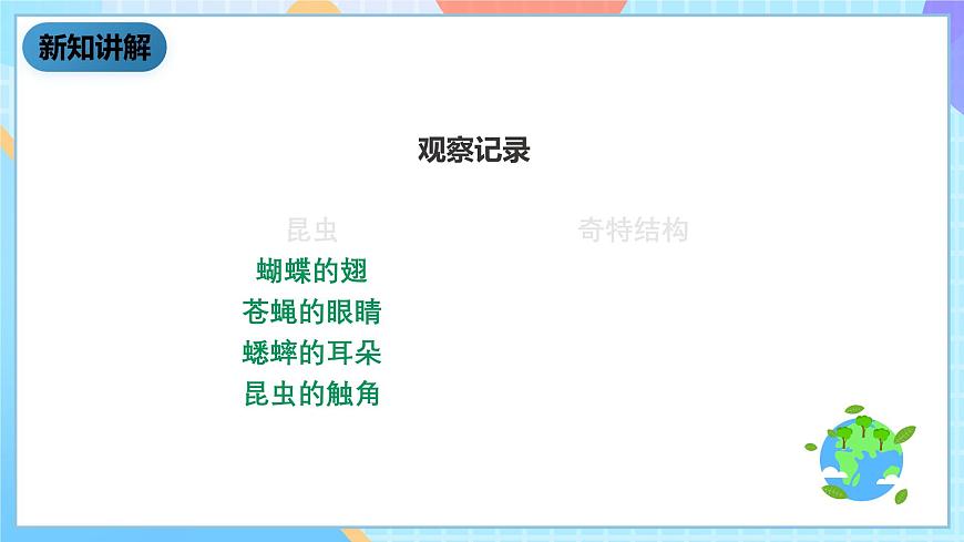 科教版科學(xué)六下1.2《放大鏡下的昆蟲世界》課件第8頁(yè)