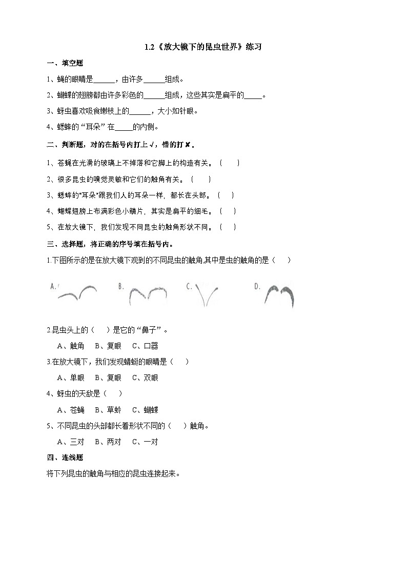 科教版科学六下1.2《放大镜下的昆虫世界》练习第1页