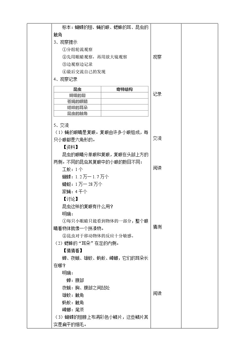 科教版科学六下1.2《放大镜下的昆虫世界》教案第2页
