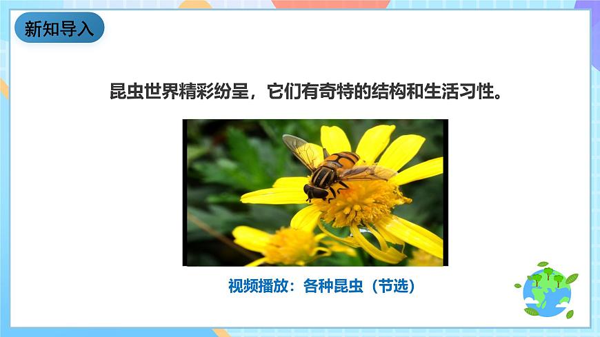 教科版科學(xué)六下1.3《放大鏡下的晶體》課件第2頁