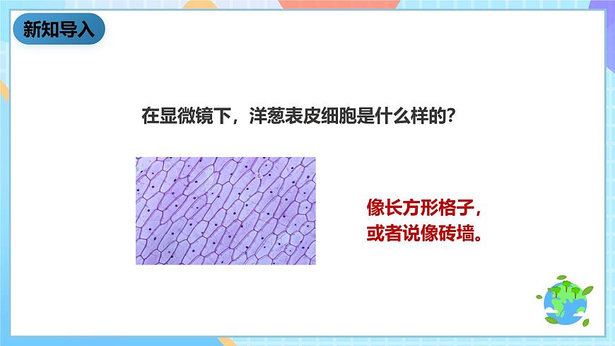 教科版科學(xué)六下1.6《用顯微鏡觀察身邊的生命世界（二）》課件第2頁(yè)