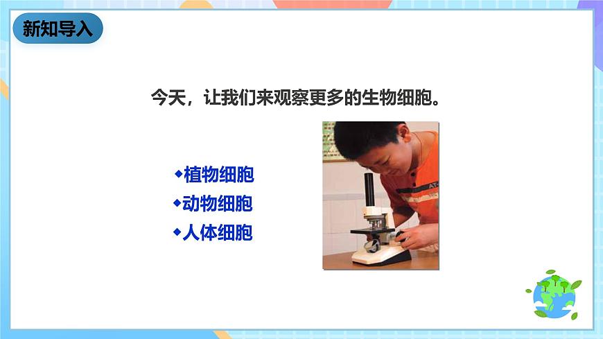 教科版科學(xué)六下1.6《用顯微鏡觀察身邊的生命世界（二）》課件第4頁(yè)