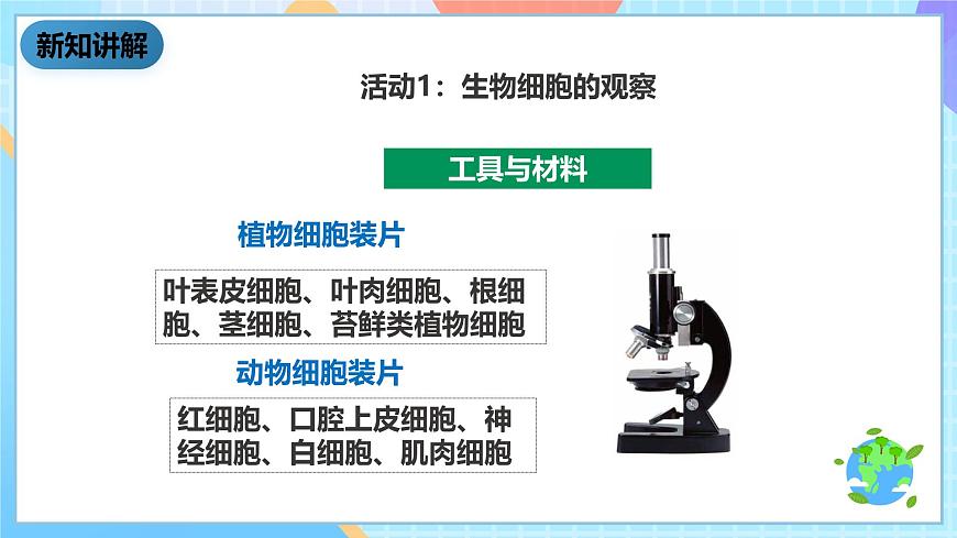 教科版科學(xué)六下1.6《用顯微鏡觀察身邊的生命世界（二）》課件第5頁(yè)