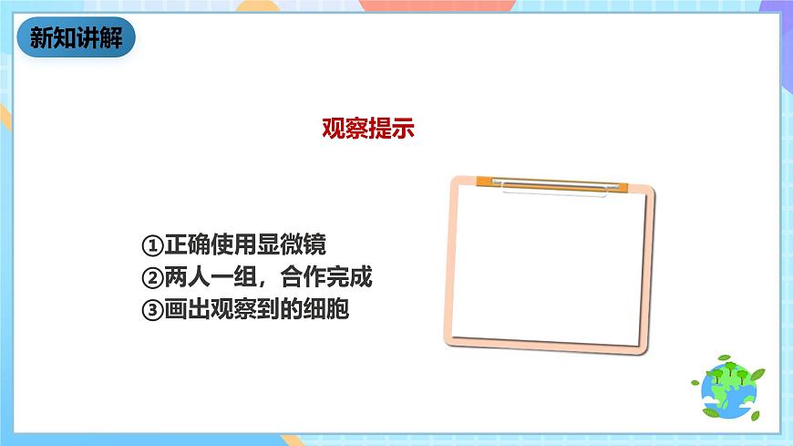 教科版科學(xué)六下1.6《用顯微鏡觀察身邊的生命世界（二）》課件第6頁(yè)