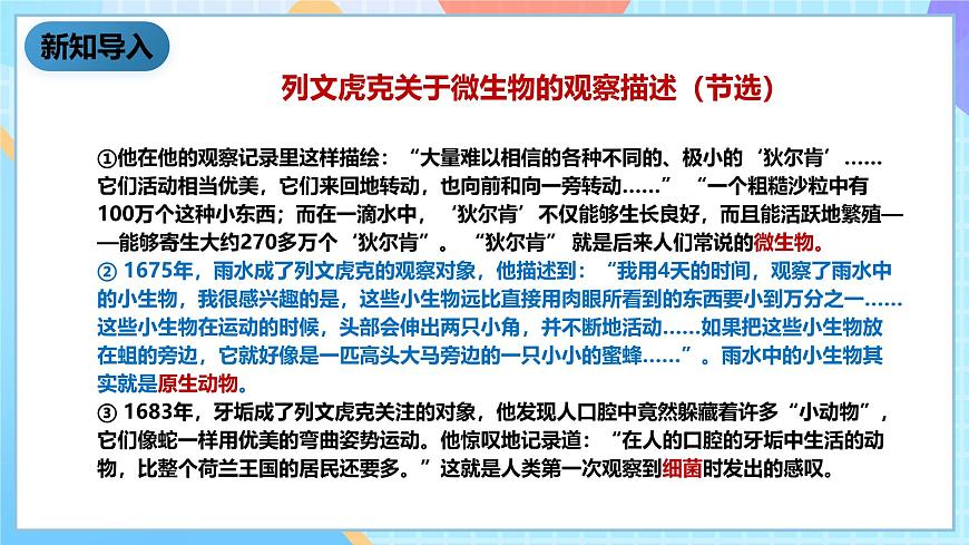 教科版科學(xué)六下1.7《用顯微鏡觀察身邊的生命世界(三)》課件第3頁