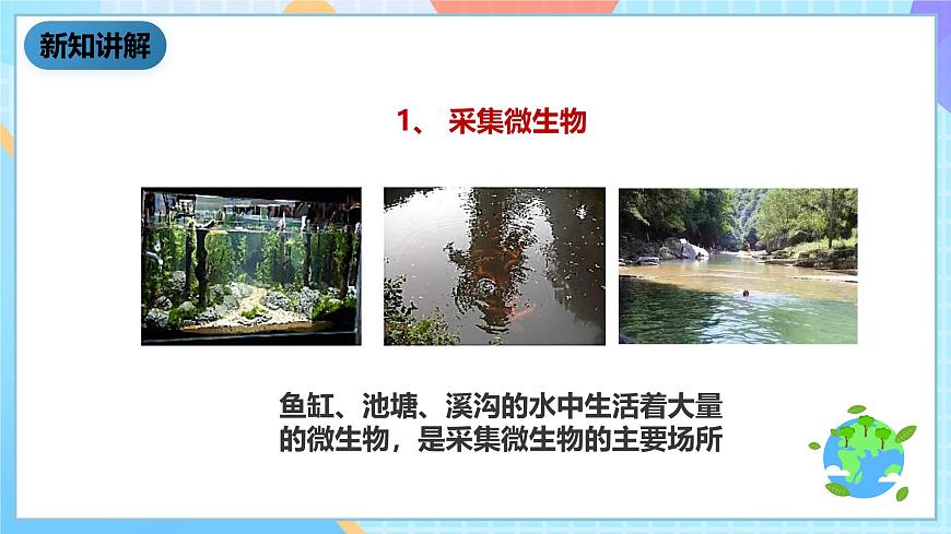 教科版科學(xué)六下1.7《用顯微鏡觀察身邊的生命世界(三)》課件第6頁