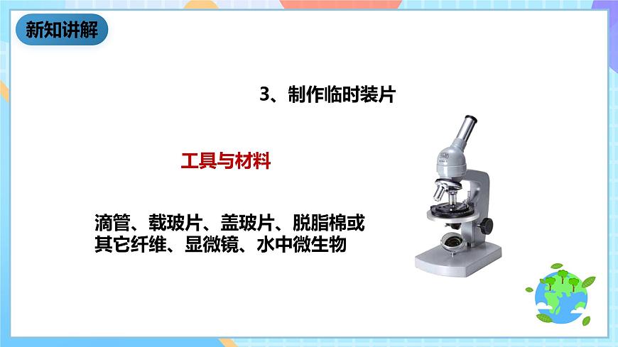 教科版科學(xué)六下1.7《用顯微鏡觀察身邊的生命世界(三)》課件第8頁