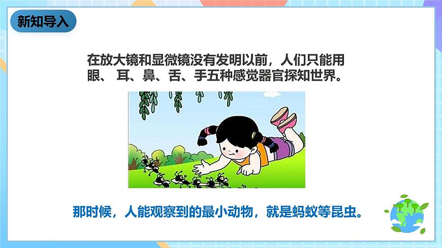 教科版科學(xué)六下1.8《微小世界和我們》課件第3頁(yè)