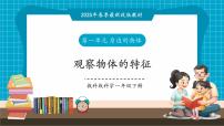 小學(xué)科學(xué)教科版（2024）一年級下冊（2024）1.觀察物體的特征優(yōu)秀教學(xué)ppt課件