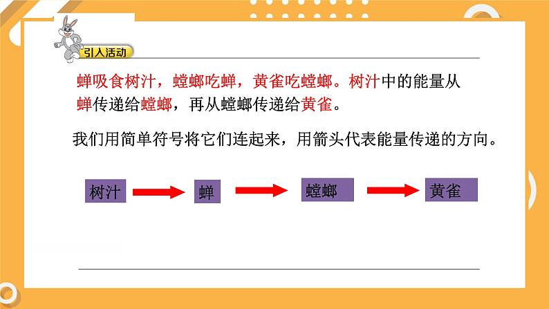 4.4 食物链(教学课件)第7页