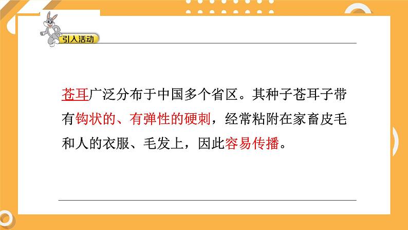 5.1 苍耳的启示(教学课件)第7页