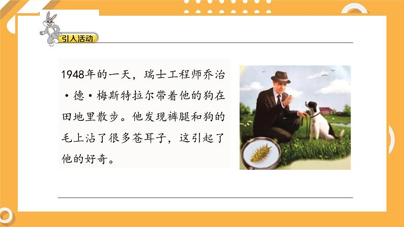 5.1 苍耳的启示(教学课件)第8页