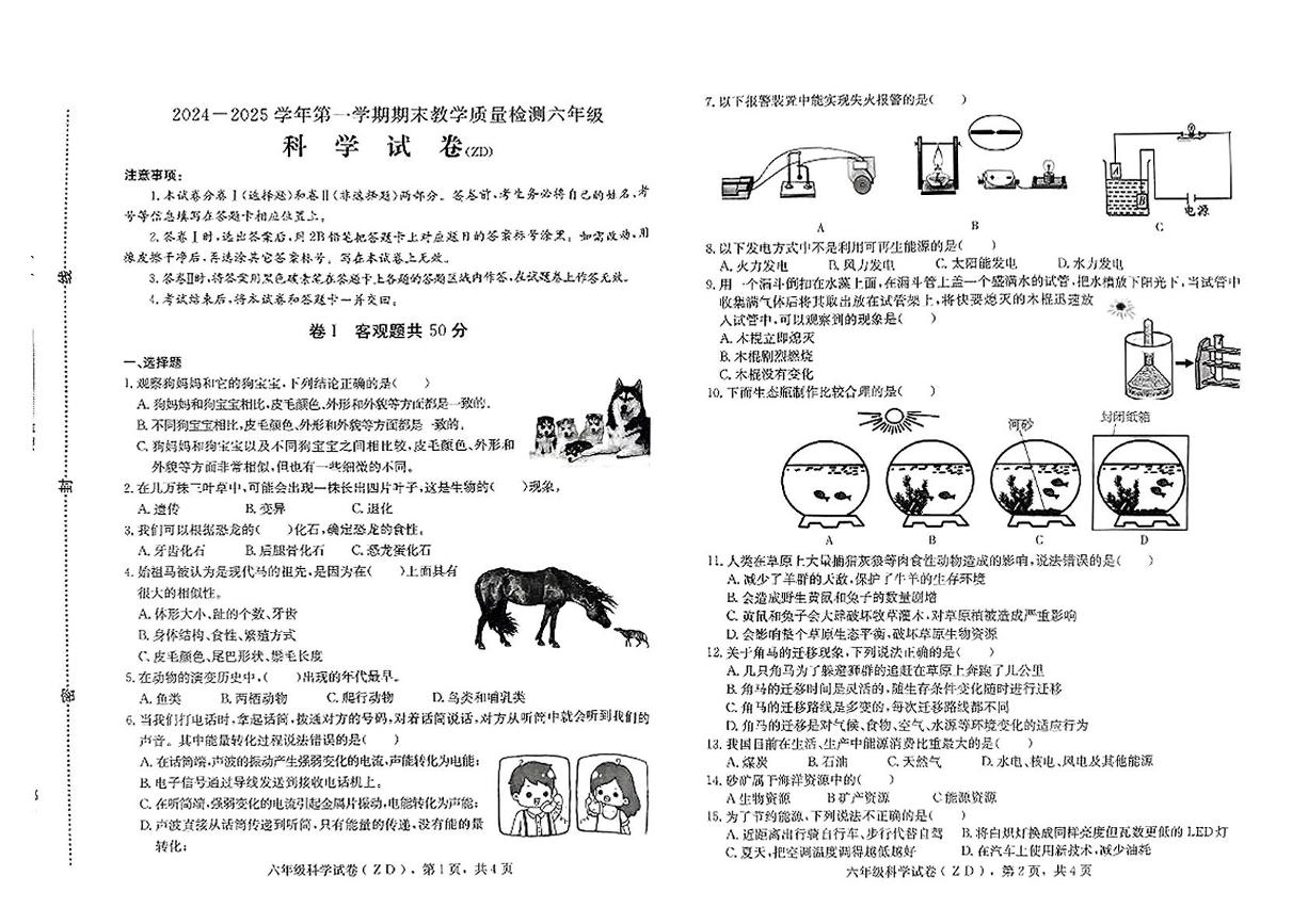 河北省石家庄市正定县2024-2025学年六年级上学期期末科学试题