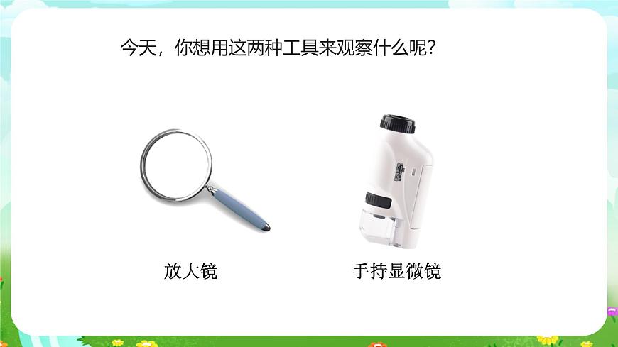 蘇教版（2017）科學(xué)五下 1.1《搭建生命的“積木”》課件第4頁(yè)