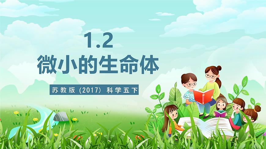 蘇教版（2017）科學(xué)五下 1.2《微小的生命體》課件第2頁