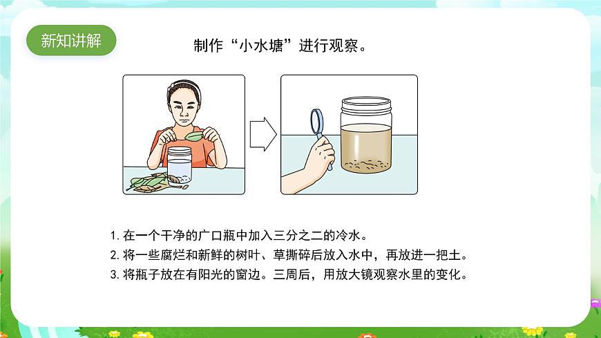 蘇教版（2017）科學(xué)五下 1.2《微小的生命體》課件第3頁