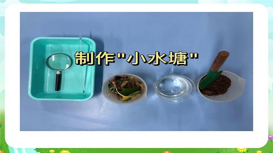 蘇教版（2017）科學(xué)五下 1.2《微小的生命體》課件第4頁