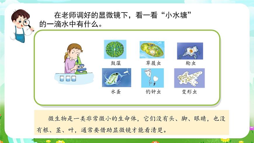 蘇教版（2017）科學(xué)五下 1.2《微小的生命體》課件第6頁