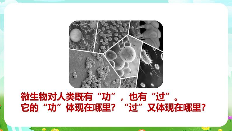 苏教版(2017)科学五下 1.4《微生物的“功”与“过”》课件第3页