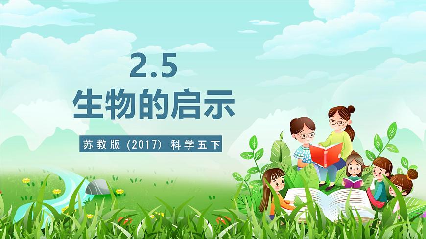 蘇教版（2017）科學五下 2.5《生物的啟示》課件第1頁