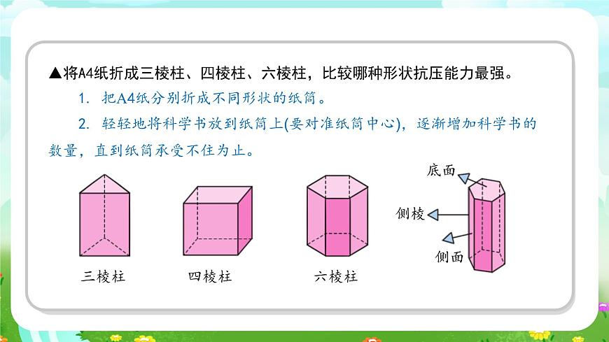 蘇教版（2017）科學五下 2.5《生物的啟示》課件第7頁