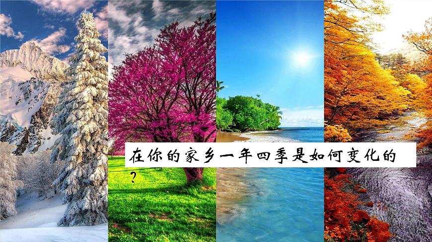 蘇教版(2017)科學五下 3.12《四季循環(huán)》課件第2頁