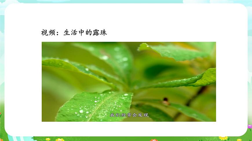 蘇教版（2017）科學(xué)四下 1.4《水遇冷以后》課件第8頁(yè)
