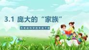 小学科学苏教版（2024）四年级下册（2017）第三单元 昆虫9 庞大的“家族”一等奖课件ppt