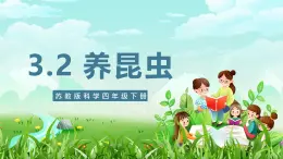 苏教版（2017）科学四下 3.10《养昆虫》课件+教案+分层练习