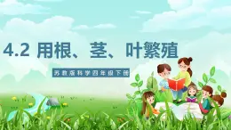 苏教版（2017）科学四下 4.13《用根、茎、叶繁殖》课件+教案+分层练习