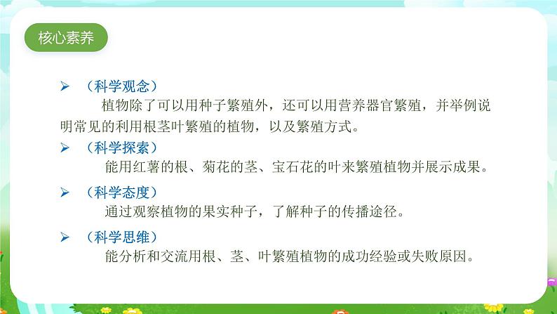 苏教版(2017)科学四下 4.3《动物的繁殖》课件第4页