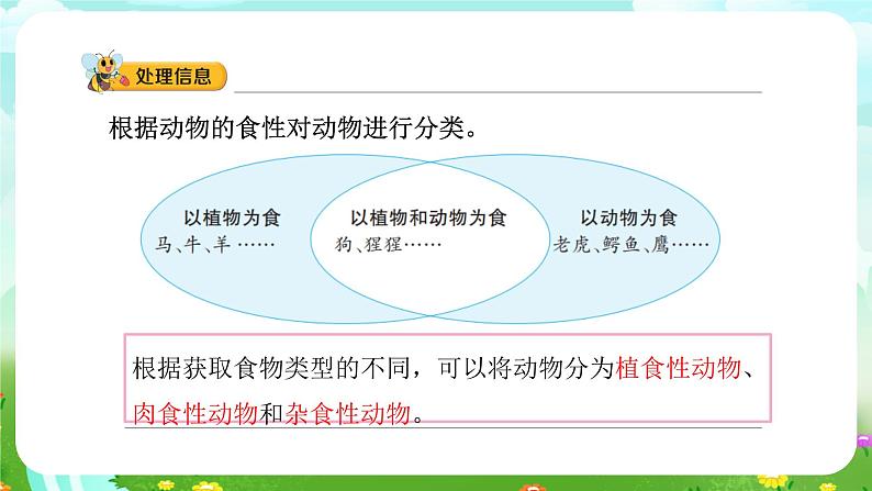 大象版(2017)科学五下 4.2《动物的食物》课件第8页