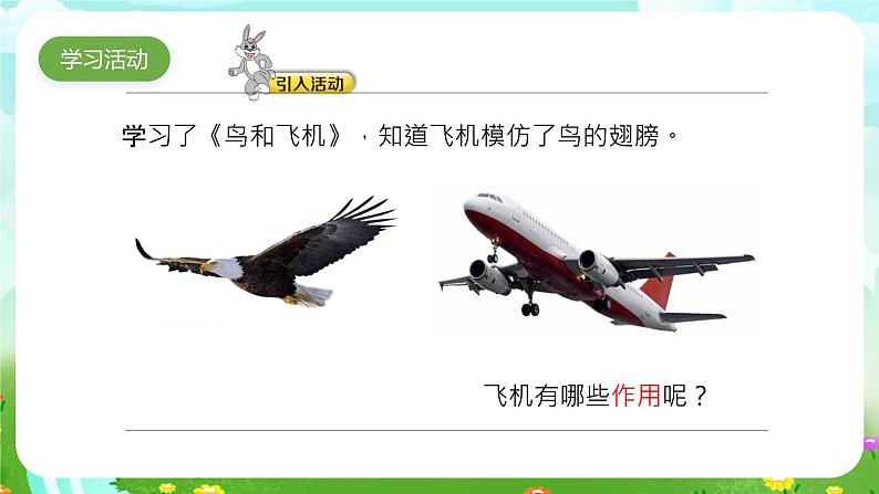 大象版(2017)科学五下 5.3《空投包的仿生原型》课件第3页