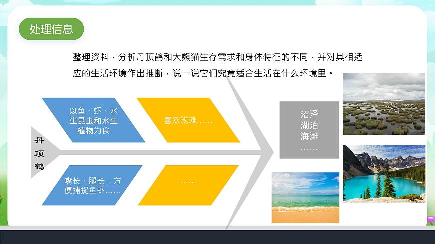 大象版（2017）科學(xué)六下 1.1《動物的家園》課件第5頁