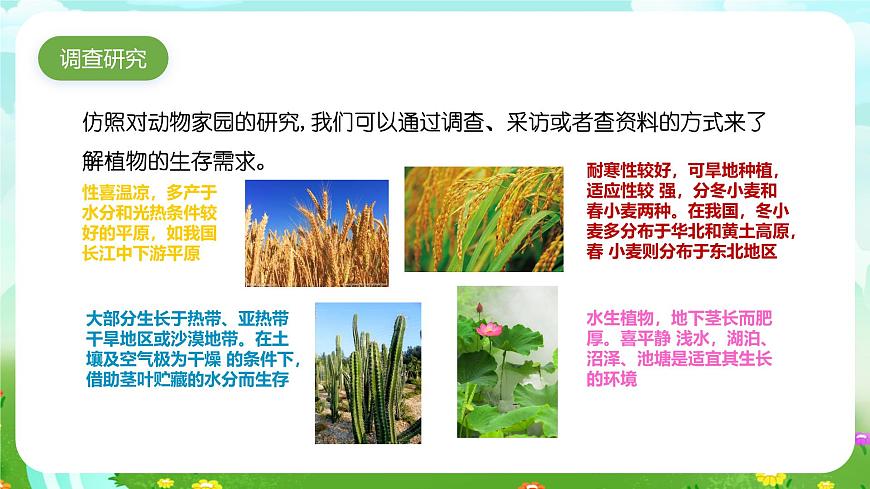 大象版（2017）科學(xué)六下 1.4《植物與環(huán)境》課件第3頁