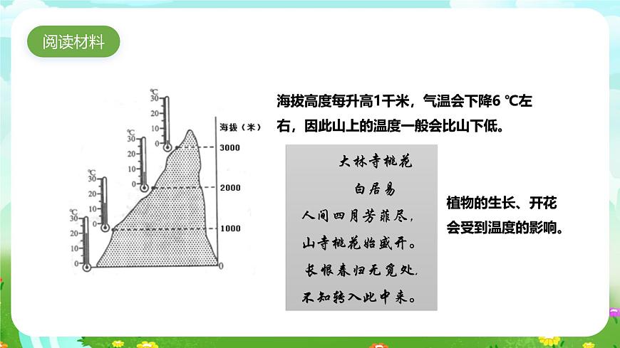 大象版（2017）科學(xué)六下 1.4《植物與環(huán)境》課件第5頁