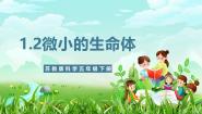 苏教版（2024）五年级下册（2017）第一单元 显微镜下的生命世界2 微小的生命体获奖课件ppt