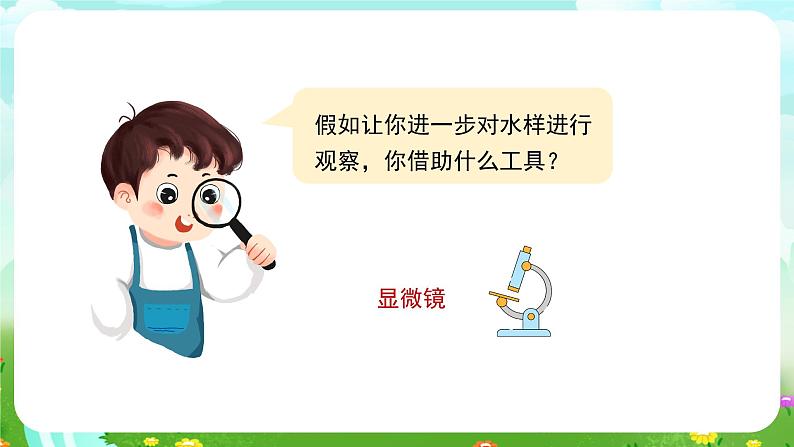 苏教版(2017)科学五下 1.2《微小的生命体》课件第4页