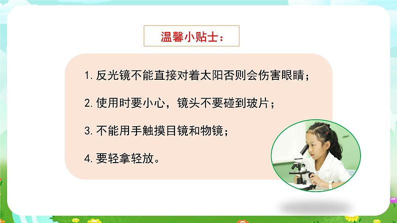 苏教版(2017)科学五下 1.2《微小的生命体》课件第7页