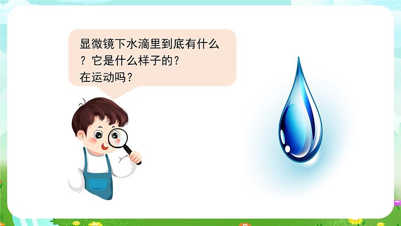 苏教版(2017)科学五下 1.2《微小的生命体》课件第8页