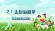 小学科学苏教版（2024）五年级下册（2017）5 生物的启示优质课件ppt