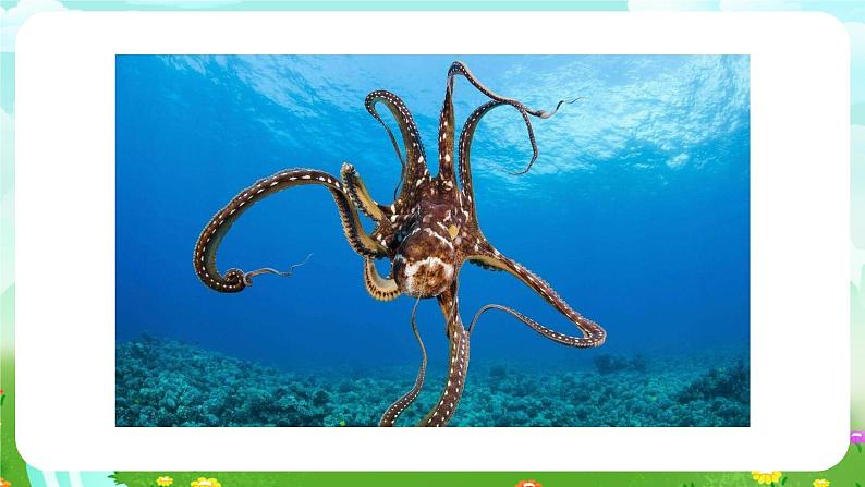 苏教版(2017)科学五下 2.5《生物的启示》课件第5页