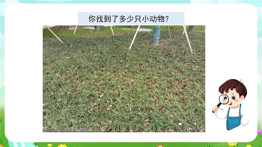 蘇教版（2017）科學五下 2.8《我們來仿生》課件第7頁