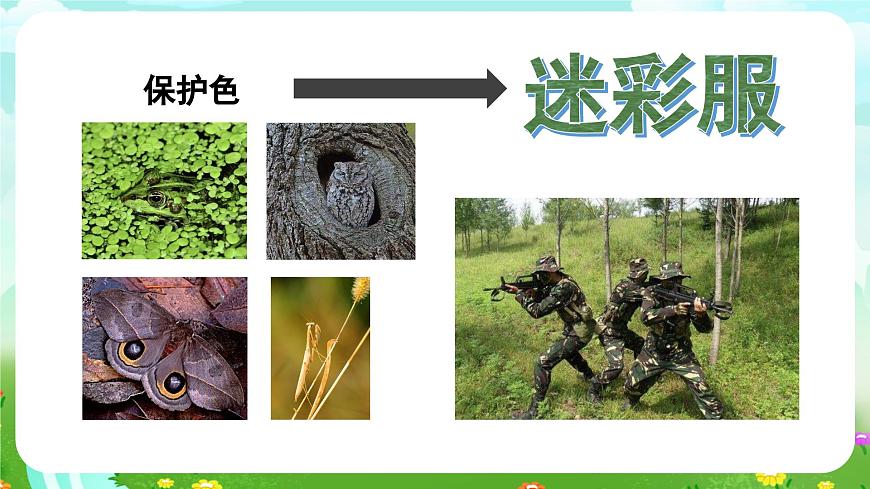 蘇教版（2017）科學五下 2.8《我們來仿生》課件第8頁