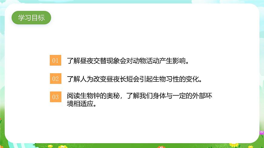 蘇教版（2017）科學五下 3.11《晝夜對動物的影響》課件第2頁