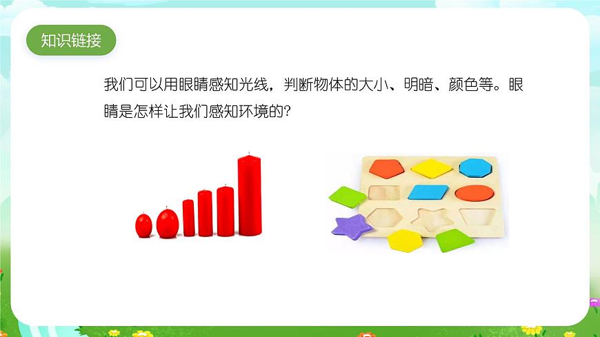 青島版六三制（2017）科學六年級下冊 第1課《視覺》課件第3頁