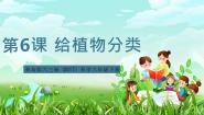 小学科学青岛版（六三制）(2024)六年级下册（2017）给植物分类精品课件ppt