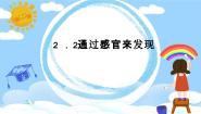 教科版（2024）二年级下册2.通过感官来发现教案